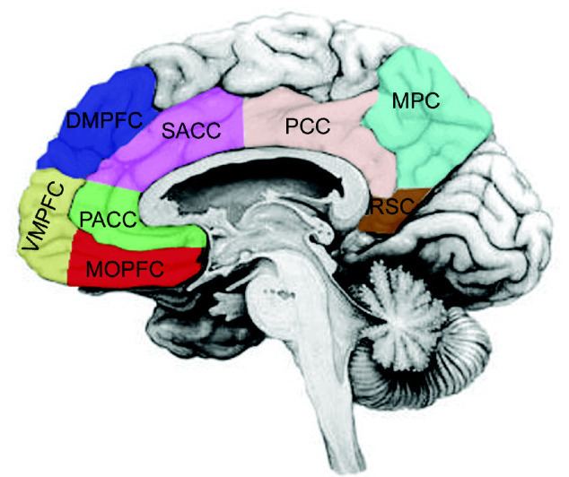 Dorsomedial prefrontal cortex