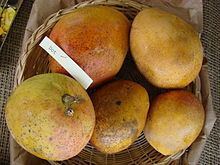 Dot (mango) httpsuploadwikimediaorgwikipediacommonsthu
