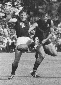 Doug Ringholt Blueseum History of the Carlton Football Club Doug Ringholt