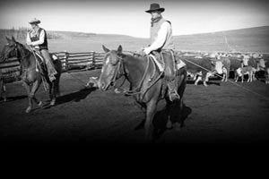 Douglas Lake Cattle Company wwwdouglaslakecomimagespage1img12jpg