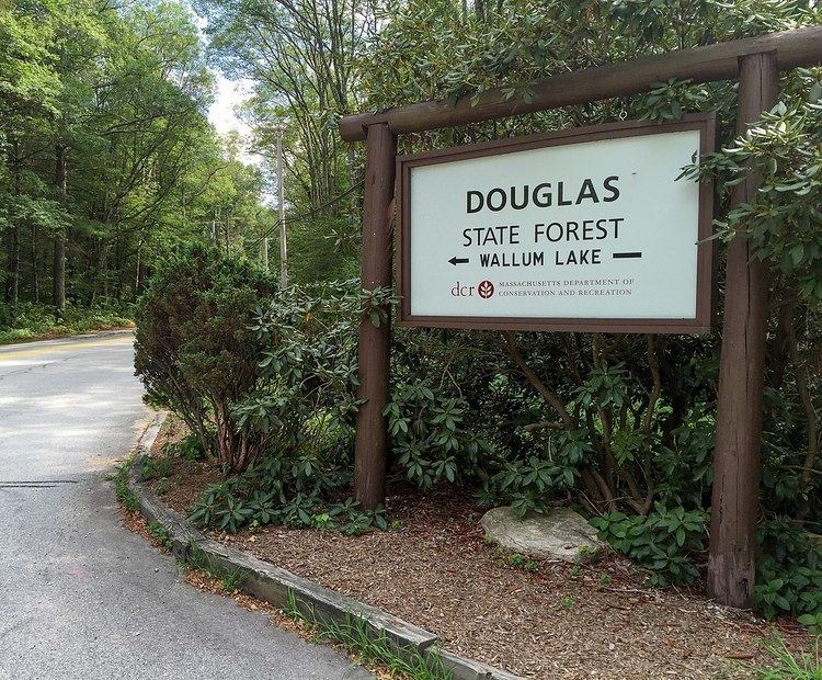 Douglas State Forest