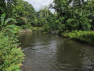 Dowagiac River httpsuploadwikimediaorgwikipediacommonsthu