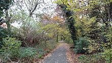 Downham Woodland Walk httpsuploadwikimediaorgwikipediacommonsthu