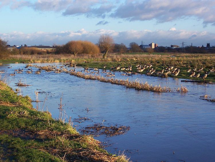 Doxey Marshes