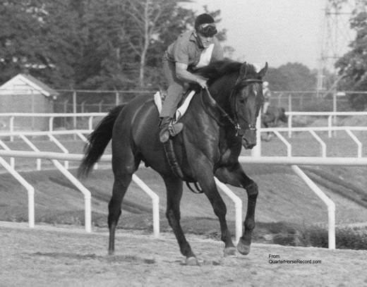 Dr. Fager Dr Fager horse American Classic Pedigrees
