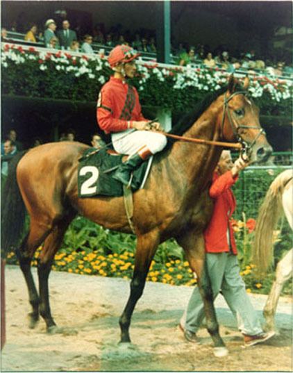Dr. Fager Dr Fager 1964 1976 Find A Grave Memorial