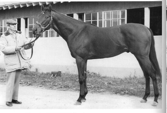 Dr. Fager Dr Fager 1968 Horse of the Year