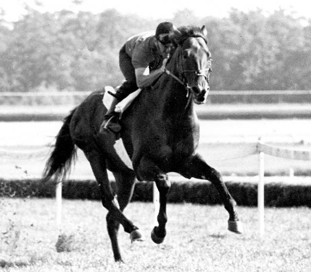 Dr. Fager Dr Fager vs Damascus Horse racing39s biggest rivalries Daily