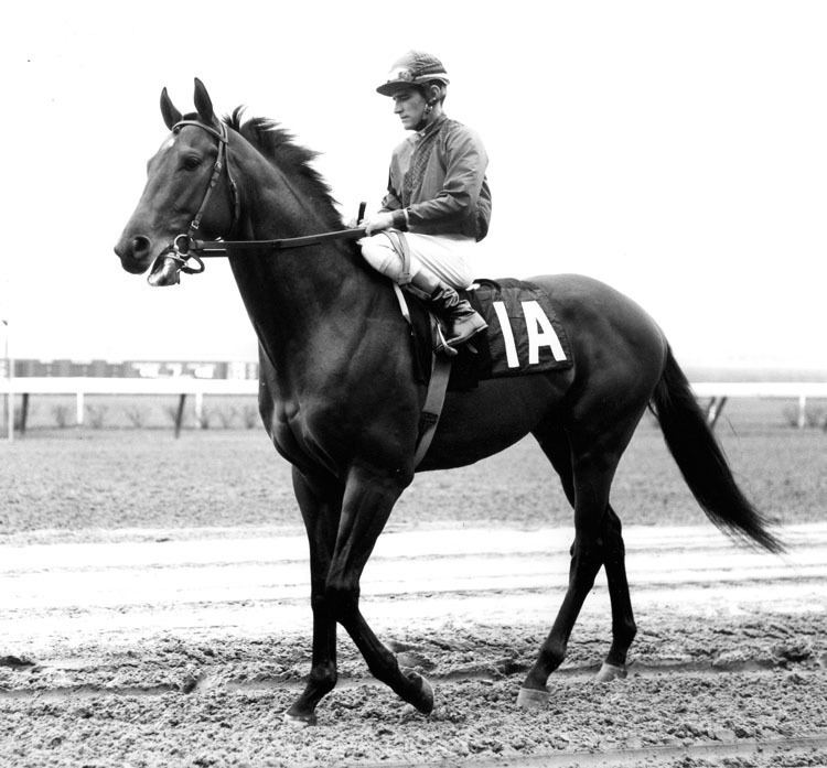 Dr. Fager Dr Fager