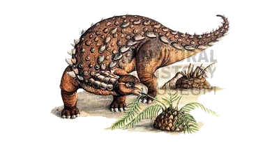 Dracopelta Definition of a Dracopelta Dinosaurs