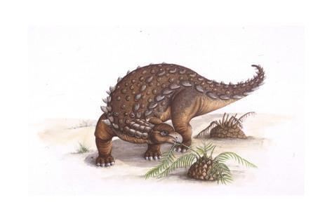 Dracopelta Palaeozoology Jurassic Period Dinosaurs Dracopelta Illustration