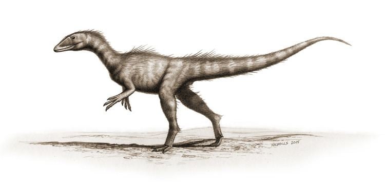 Dracoraptor Dracoraptor Wikipedia