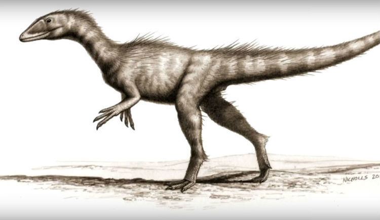 Dracoraptor A New Dino Called Dracoraptor Or 39Dragon Robber39 Is The Oldest One
