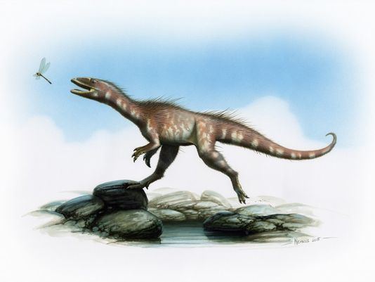 Dracoraptor Meet 39Dracoraptor39 a new species of dinosaur