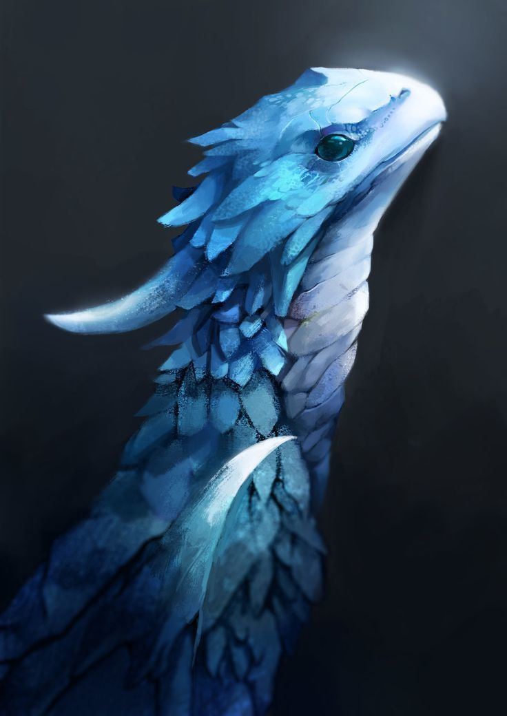 A blue dragon