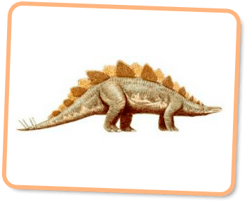 Dravidosaurus Dravidosaurus Kids Dinos