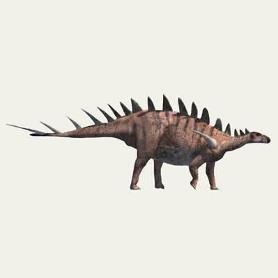 Dravidosaurus Dravidosaurus Toate Animalele