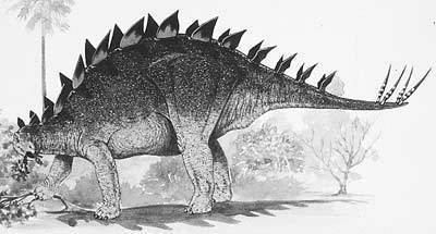 Dravidosaurus wwwnhmacukresourcesnatureonlinelifedinosau