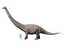 Dreadnoughtus httpsuploadwikimediaorgwikipediacommonsthu