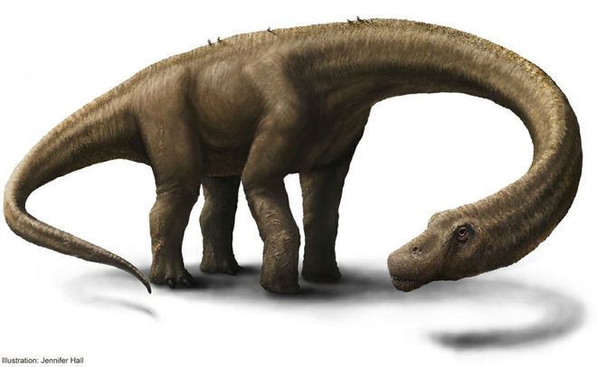Dreadnoughtus Will Dreadnoughtus Dinosaur Lose Its Heavyweight Title