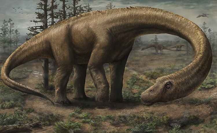 Dreadnoughtus Introducing Dreadnoughtus A Gigantic Exceptionally Complete