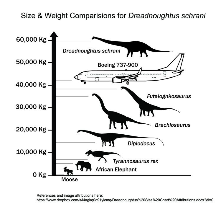 Dreadnoughtus New quotDreadnoughtusquot Dinosaur Was One of World39s Largest Dbrief