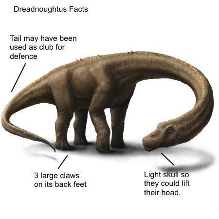 Dreadnoughtus Dreadnoughtus New Dinosaur