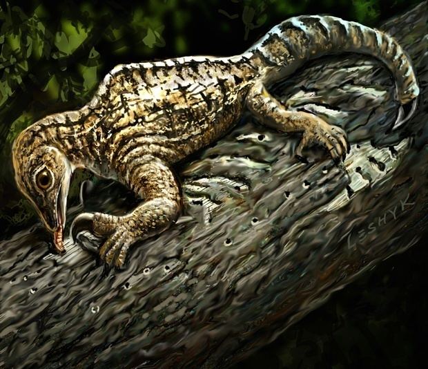 Drepanosaurus Bizarre Forelimb Evolution In Ancient Drepanosaurus Fossil Science 20