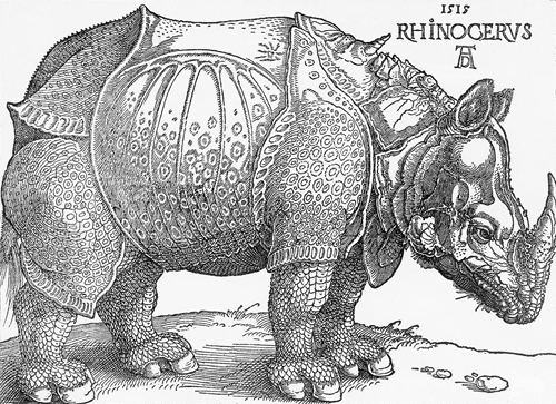 Dürer's Rhinoceros Drer and the elusive rhino The Artstor Blog