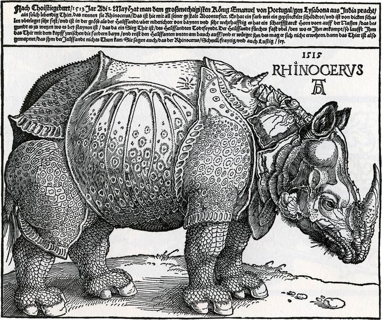 Dürer's Rhinoceros Albrecht Drer Rhinoceros Art and Science in the Renaissance