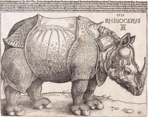 Dürer's Rhinoceros httpsuploadwikimediaorgwikipediacommonsthu