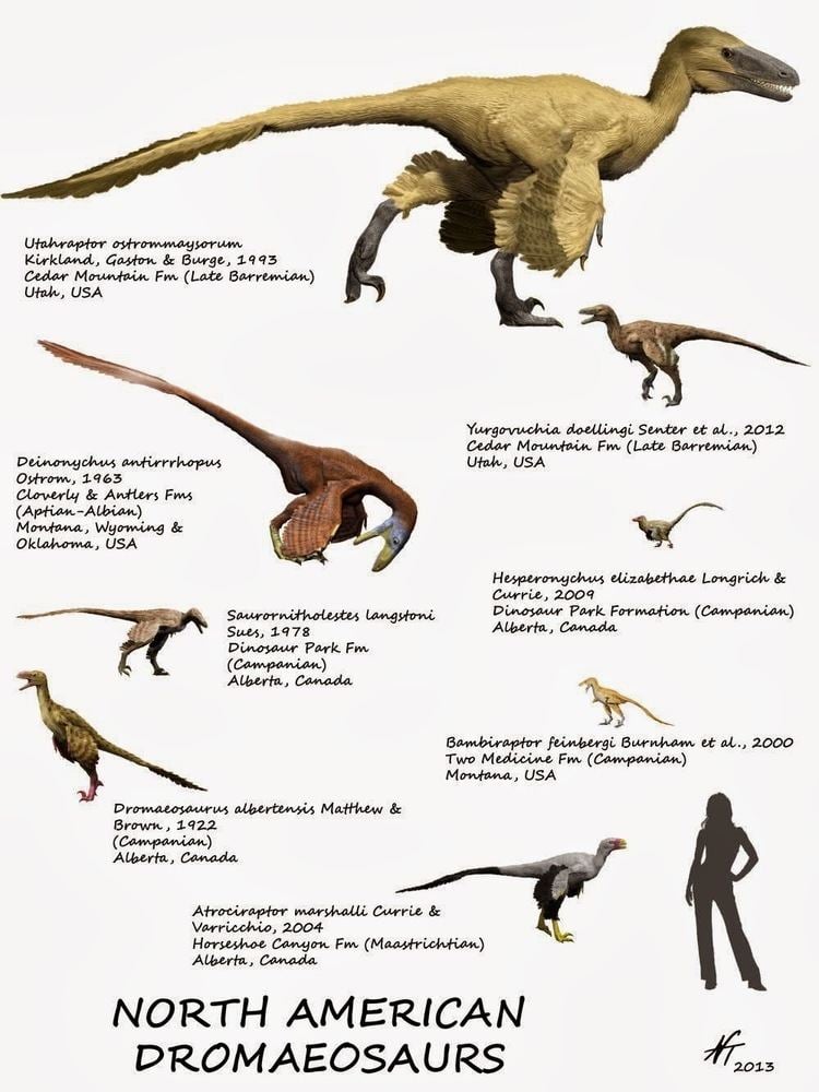 Dromaeosauridae 2bpblogspotcomnATljwJtpZAUleEvRSQLHIAAAAAAA