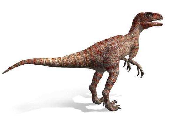 Dromaeosaurus Dromaeosaurus Pictures Facts Classification Adaptation and