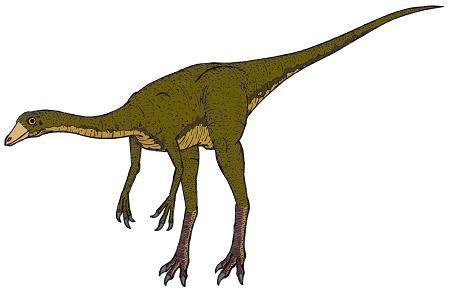 Dromiceiomimus Dromiceiomimus Dinosaur Facts information about the dinosaur