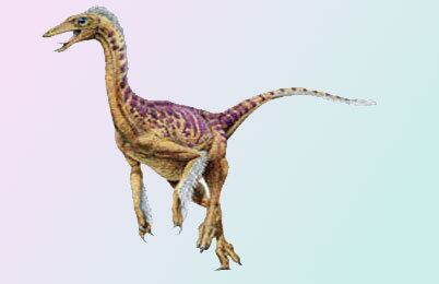 Dromiceiomimus Dromiceiomimus Dinosaur information facts Dinosaur skeleton