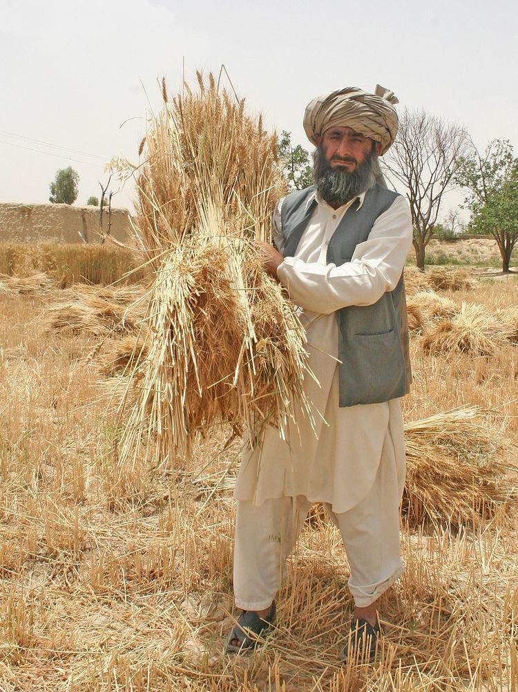 Drought in Pakistan