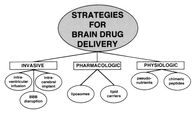 Drug delivery to the brain httpswwwresearchgatenetprofileWilliamPardr