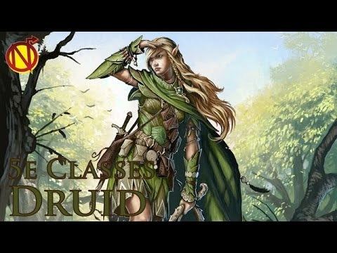Druid (Dungeons & Dragons) Wild shaping with Druids in 5e Dungeons and Dragons 5th Edition