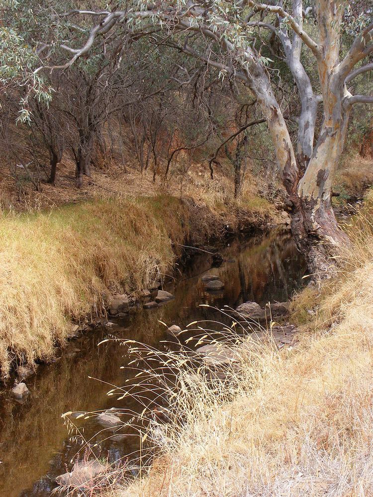 Dry Creek (South Australia)