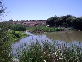 Dry Creek, South Australia httpsuploadwikimediaorgwikipediacommonsthu