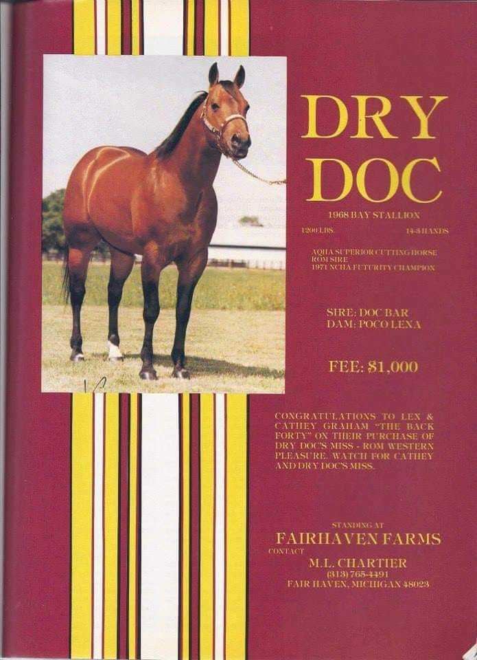 Dry Doc Dry Doc