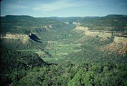 Dry Mesa Quarry httpsuploadwikimediaorgwikipediacommonsthu
