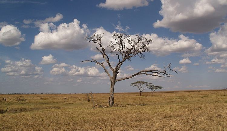 Dry season - Wikipedia