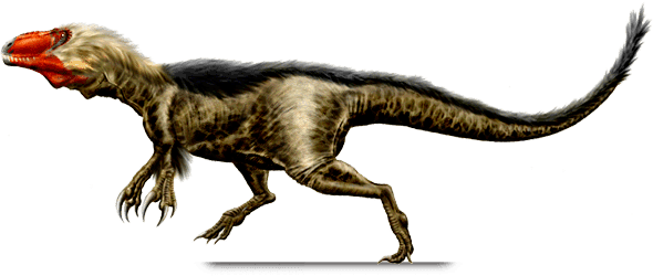 Dryptosaurus wwwdinocheckercomgalleryimgdryptosauruspng