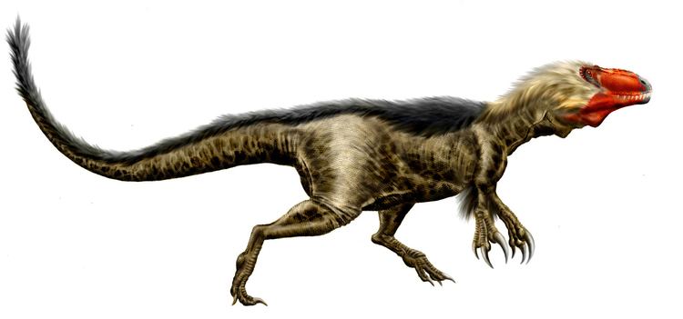 Dryptosaurus Dryptosaurus Wikipedia