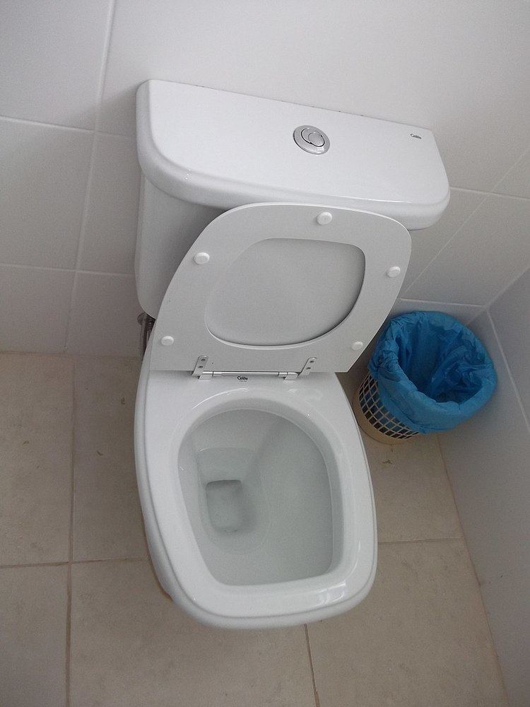 Dual flush toilet