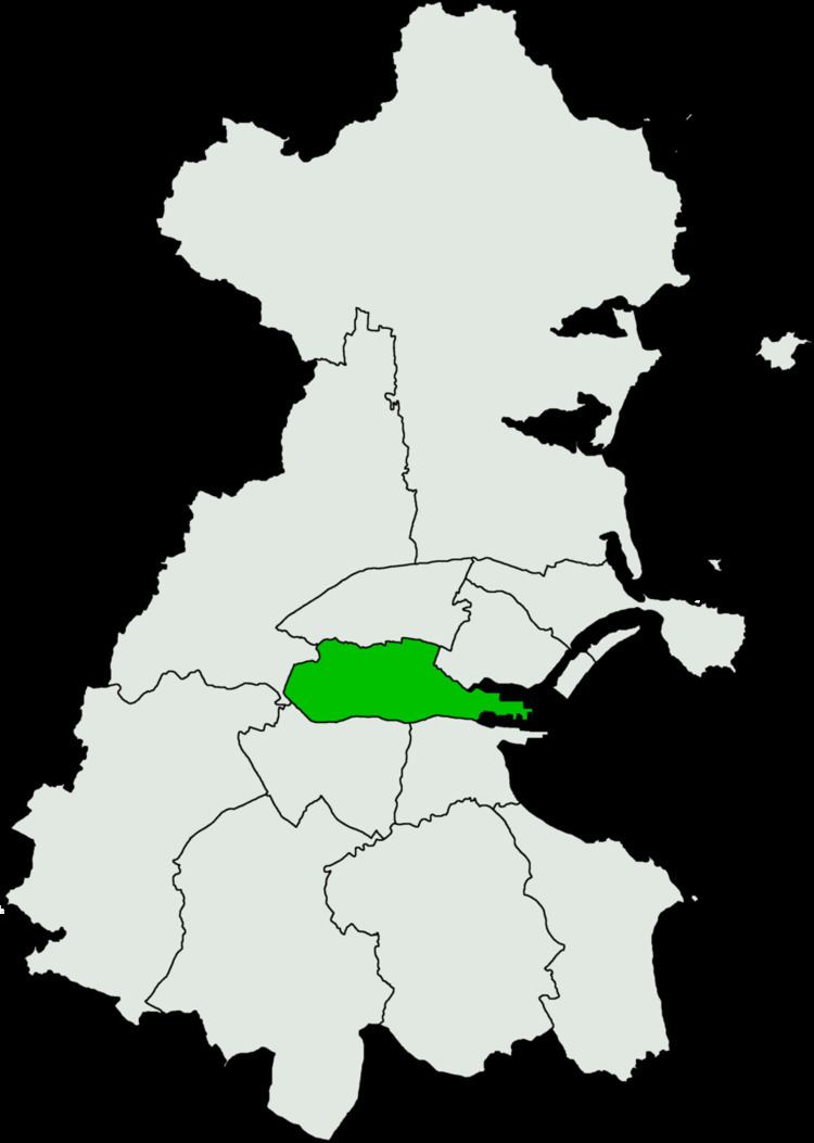 Dublin Central by-election, 2009