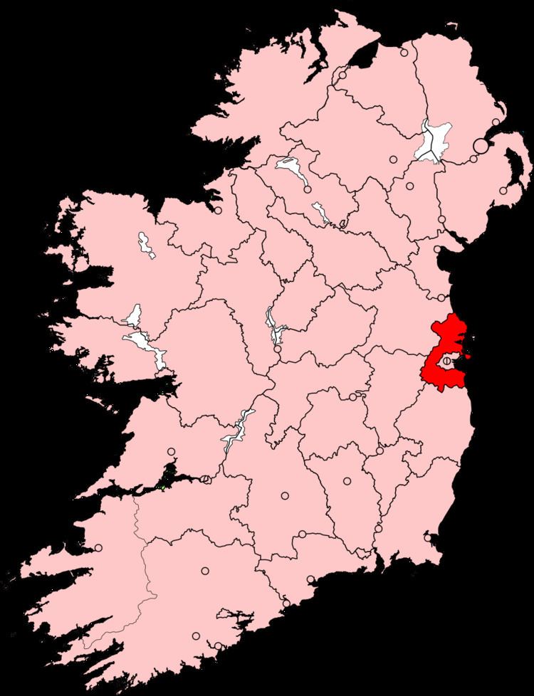 Dublin County by-election, 1874