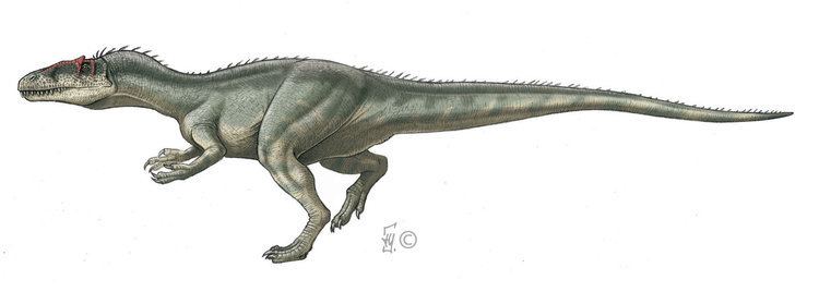 Dubreuillosaurus Dubreuillosaurus by Tessig on DeviantArt