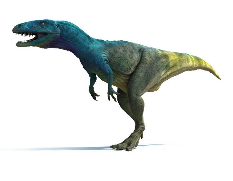 Dubreuillosaurus imagesdinosaurpicturesorgDubreuillosaurusPeter